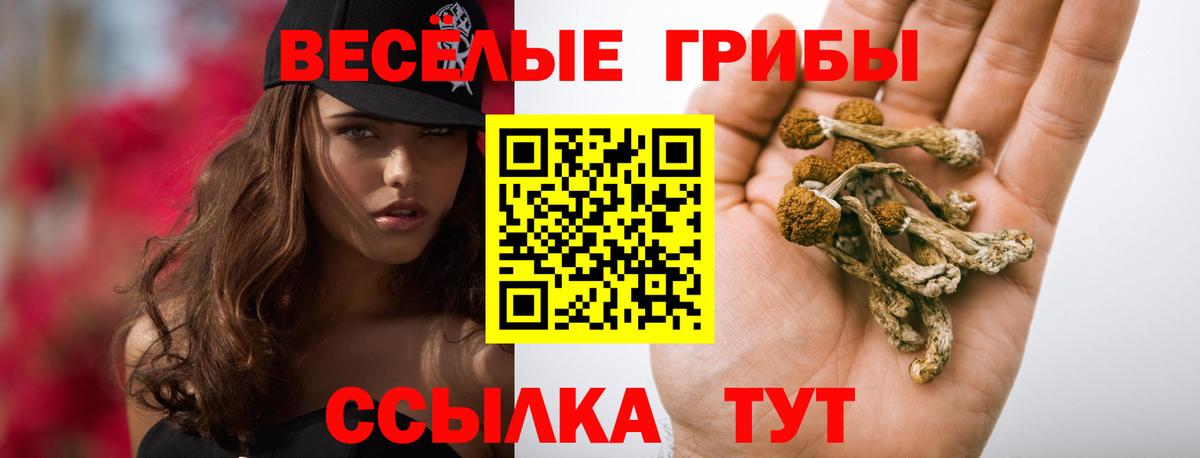 Псилоцибиновые грибы Cubensis  Вход с VPN  Галлюциногенные грибы мицелий  Туапсе 